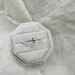Treasure Ring