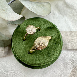 Impression Kit: Signet Ring