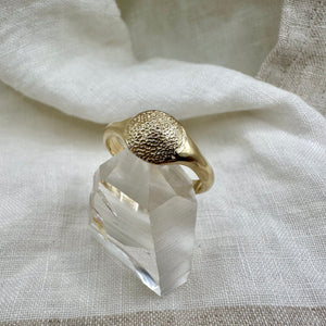 Impression Kit: Signet Ring