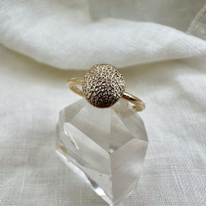 Impression Kit: Small Ring