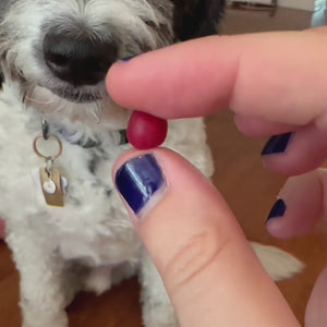 Impression Kit: Large Ring